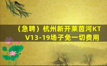 昆明酒吧招聘